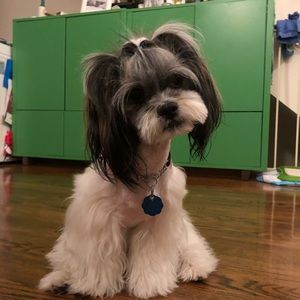 Meet your Posher, Heekyoung